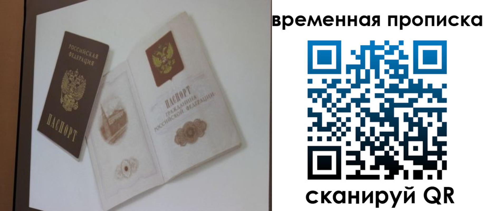 прописка 2025 в Бабаево